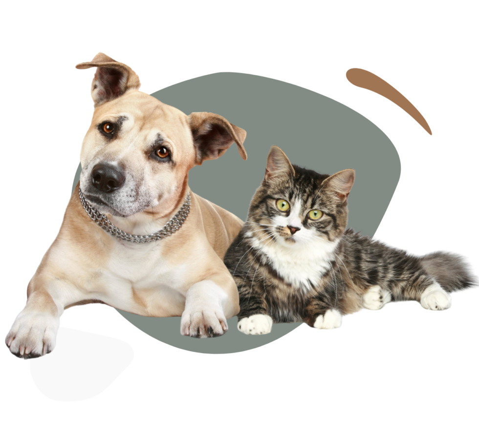 pet-boarding-near-me-coshocton-oh-43812-a-1-kennel-care